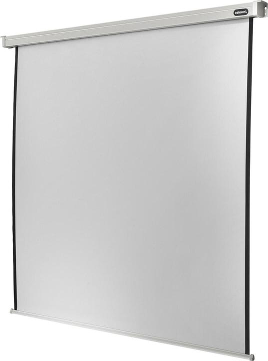 Image du produit Celexon Rollo Professional (120.08", 1:1)