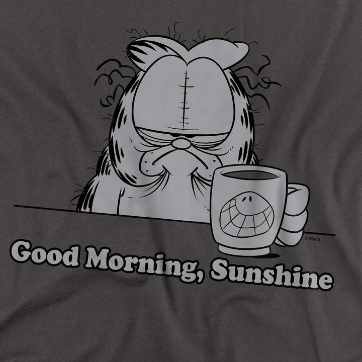 Actual product image Garfield Unisex Adult Good Morning Sunshine T-Shirt (XXL)