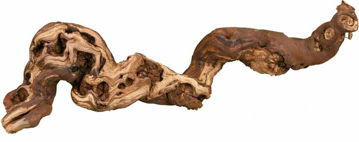 Actual product image Trixie Vine