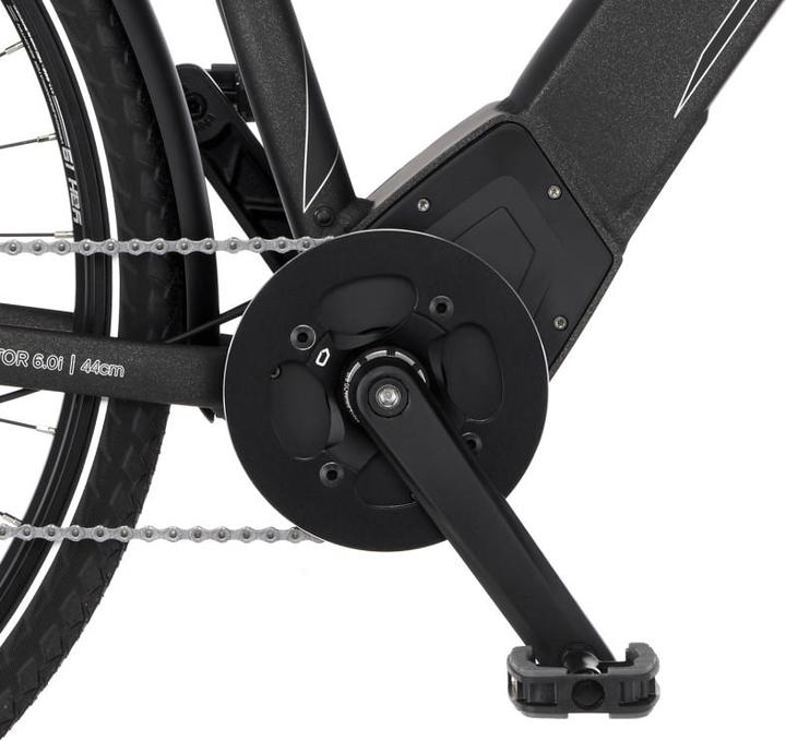 Image du produit Fischer Viator (44 cm)