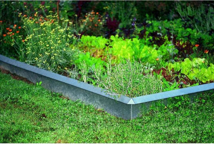 Actual product image Colibri Steel screw guard (100 cm)