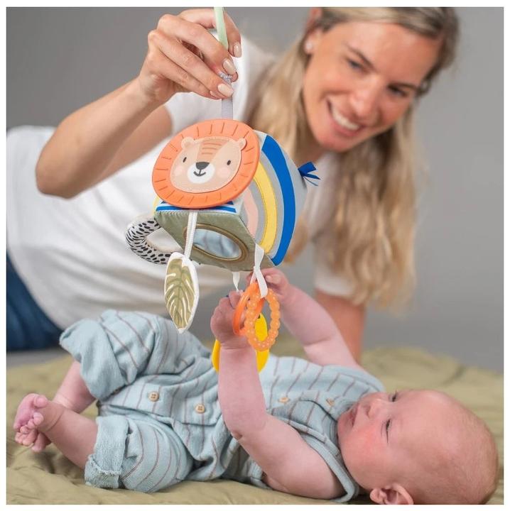 Immagine prodotto Taf Toys Cubo di attività Savannah