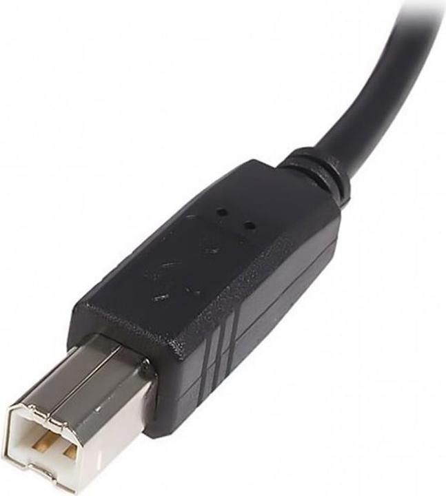 Actual product image StarTech USB A-Usb B (2 m, USB 2.0)