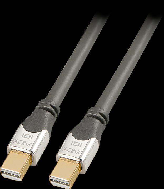 Produktbild Lindy Mini DisplayPort — Mini DisplayPort (2 m, DisplayPort)