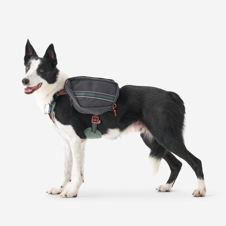 Immagine prodotto Caperlan Hundegeschirr Wandern (S, Cane)
