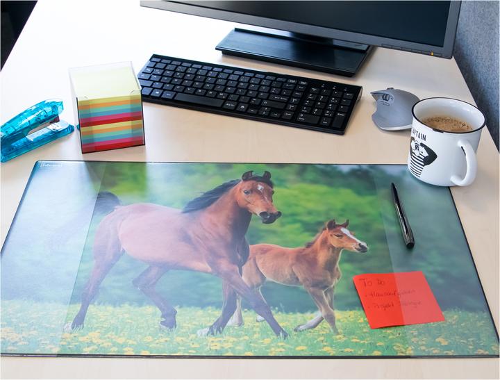 Actual product image Idena Desk Pad PP 58,5x38,5cm Horse