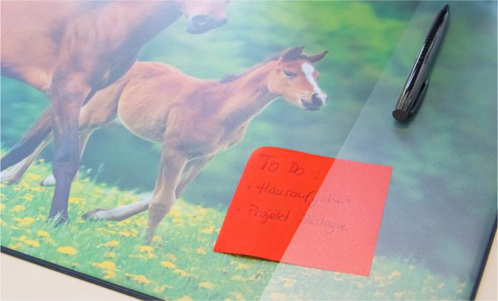 Actual product image Idena Desk Pad PP 58,5x38,5cm Horse