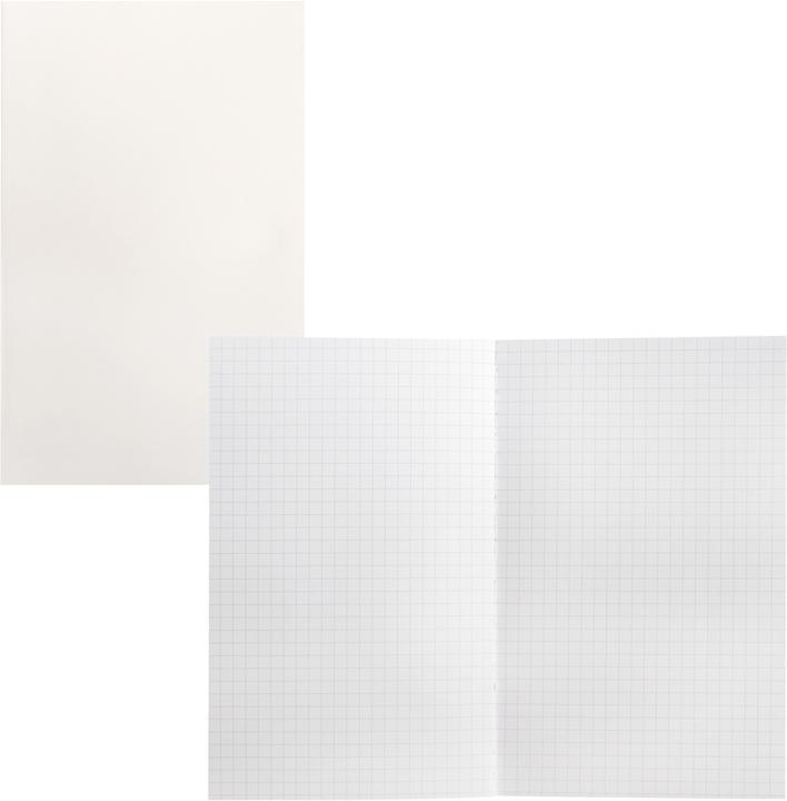 Produktbild Idena Notizbucheinlagen kariert FSC-Mix (Kariert)