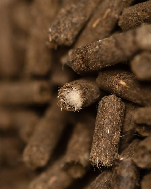 Immagine prodotto feey Biodünger Pellets (0.05 kg, 0.10 l)