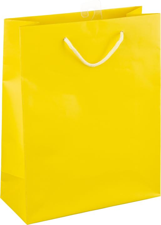 Actual product image Idena Gift. FSC mix 4 assorted colours, M 23x18x8cm (Gift bag, 1 x)