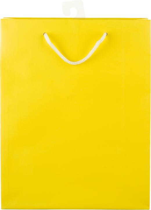 Actual product image Idena Gift. FSC mix 4 assorted colours, M 23x18x8cm (Gift bag, 1 x)