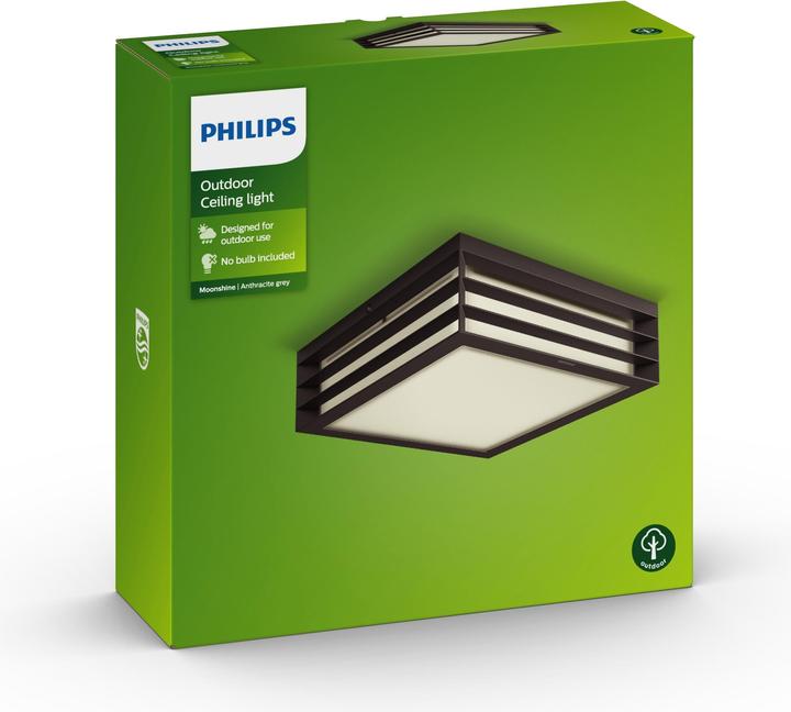 Actual product image Philips Moonshine (2480 lm, E27, IP44)