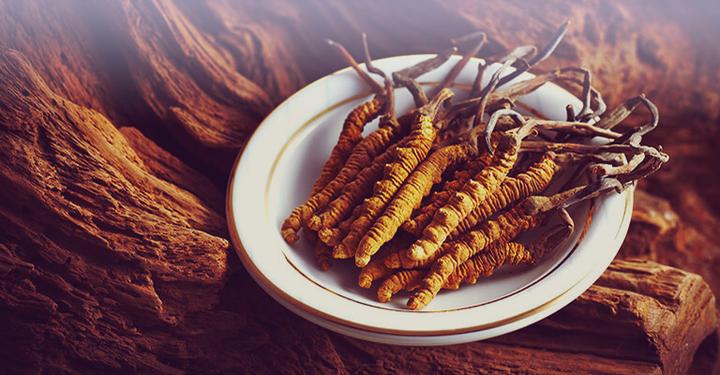 Produktbild Zimmerli Adaptogene Cordyceps Pulver (BIO) (1 Stück, Pulver, 100 g)