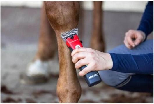 Actual product image Kerbl Aesculap Favorita CLi, clipper with 2 batteries, signal red, model 2022, GT236-SR (Dog, Vault, Cat)