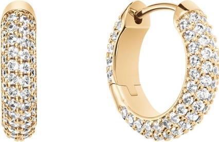 Daniel Wellington Pave Hoop Earrings for Women Gold Plated Brass (Brass)