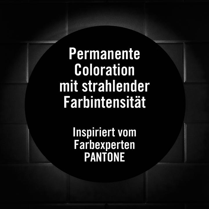 Image du produit Syoss Baseline X-Pantone 6-66 Roasted Pecan (6_66 Pécan grillé)