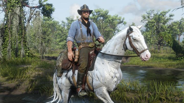 Produktbild Rockstar Red Dead Redemption 2 PC CIAB (PC)
