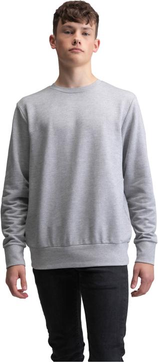 Produktbild Essential Sweatshirt (L)