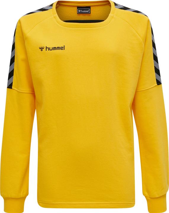 hummel Authentic Kids Training Sweat