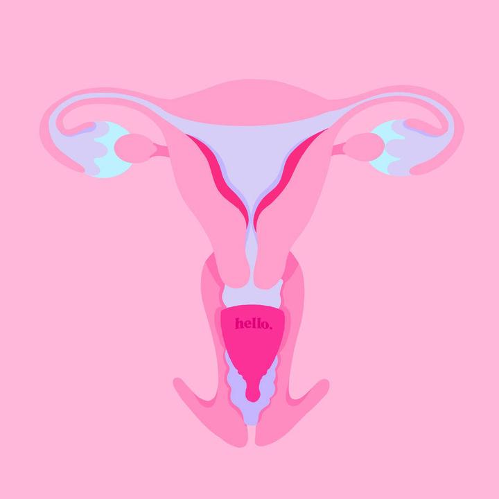 Produktbild Hello. Average Cervix (S)