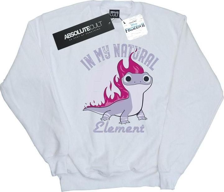 Immagine prodotto Disney Frozen 2 Salamander Bruni Element Felpa Uomo (XXL)
