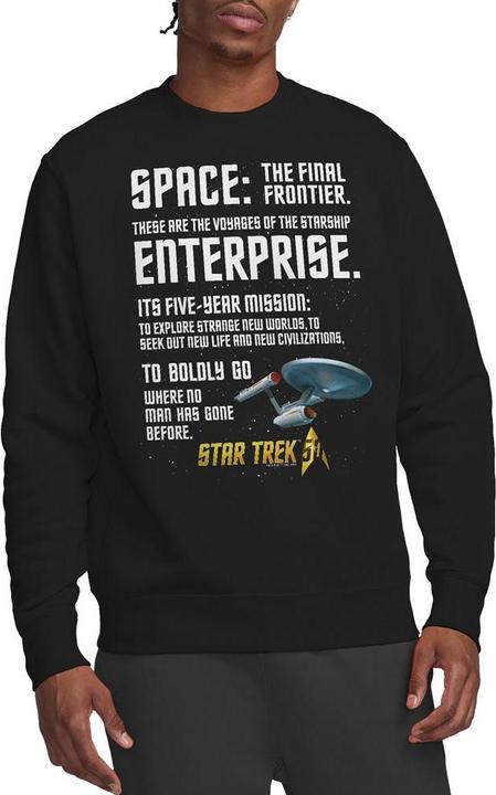 Actual product image Unisex Adult Intro Sweatshirt (S)