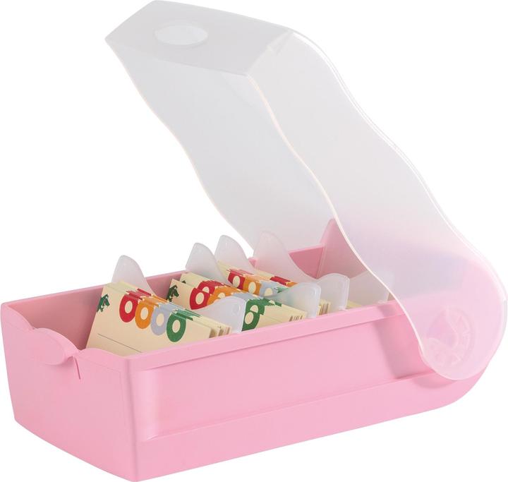 Actual product image Han Flashcard file Croco A7 transl.-pastel pink (A7)