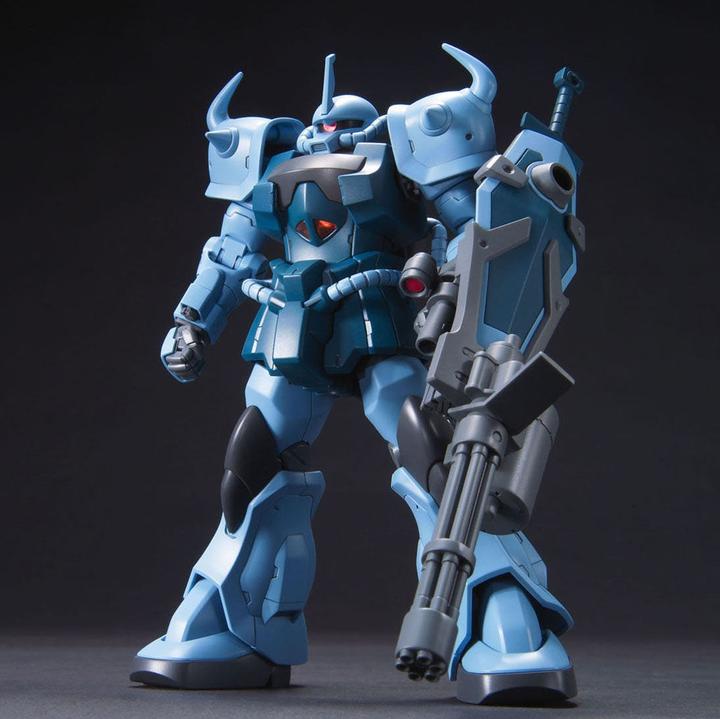 Actual product image Bandai Gundam Gouf Custom