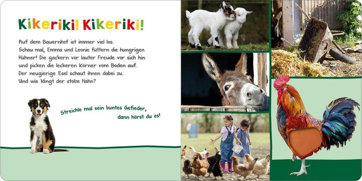 Actual product image Hör mal rein, wer kann das sein? – Auf dem Bauernhof (German)