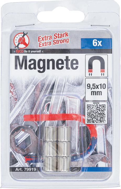 Produktbild BGS Magnet-Satz (6 x)