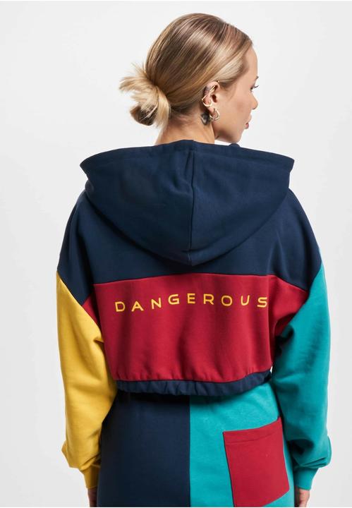 Image du produit Dangerous DNGRS Sweat à capuche 4C - 139053 (S)