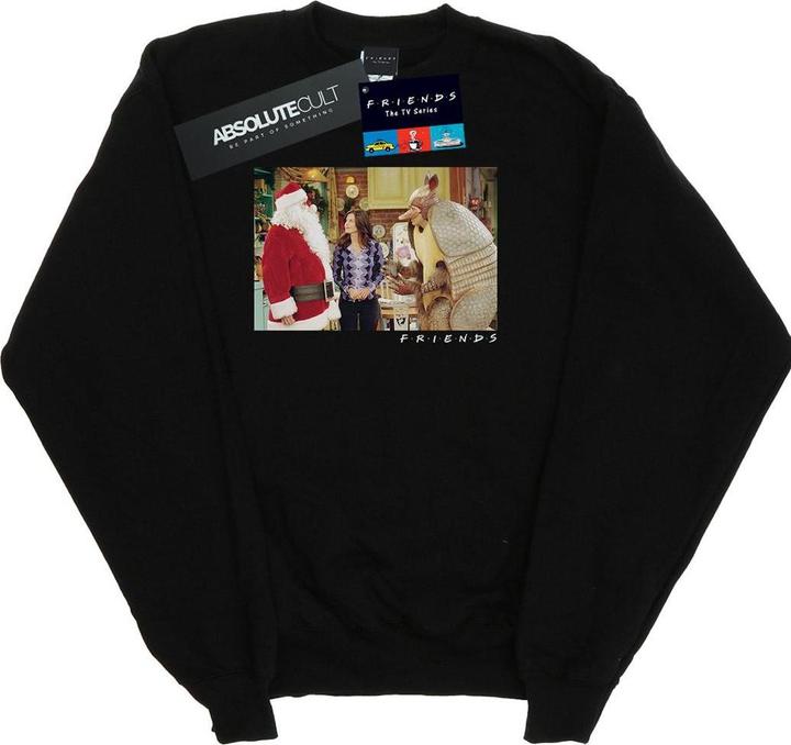 Actual product image Friends Womens/Ladies The Holiday Armadillo Sweatshirt (XXL)