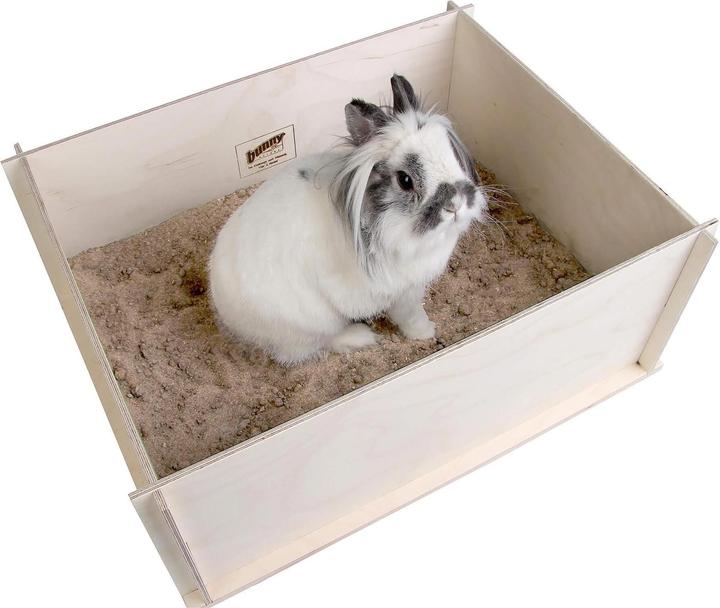 Image du produit Bunny Interactive Buddelspass Sand-Mix