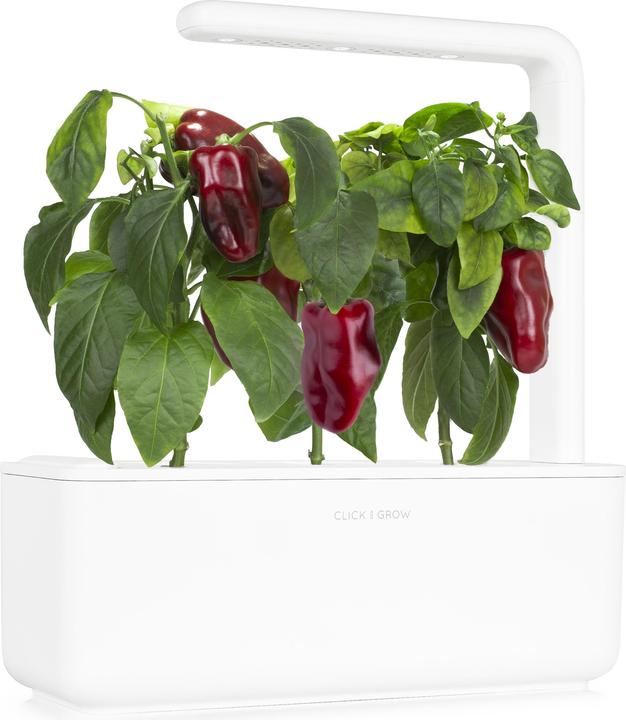 Produktbild Click and Grow Click & Grow Smart Garden Nachfüllpackung Red Sweet Pepper 3St (Gemüsesamen)