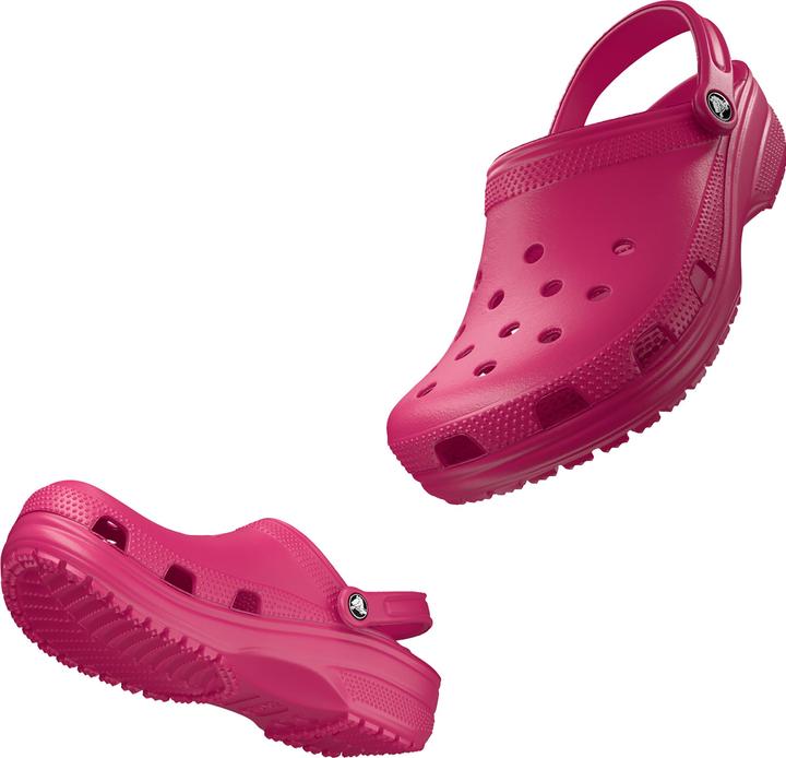 Dragon Fruit