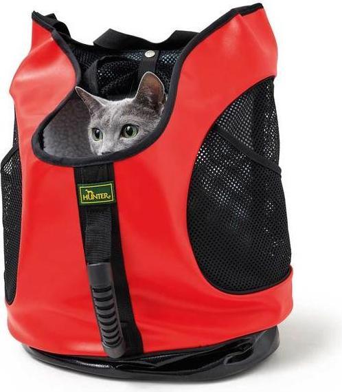 Actual product image Hunter Taylor (Dog, Foldable)