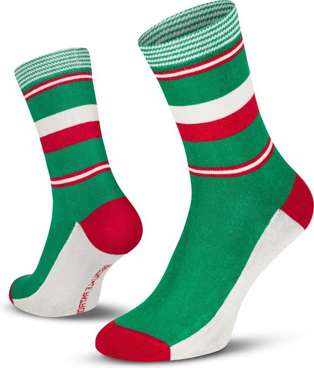 Produktbild Patrón Spirits Company Le Patron Classic Jersey Bartali Socks italian green (39 - 42)