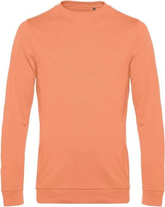 Cinnamon colours
