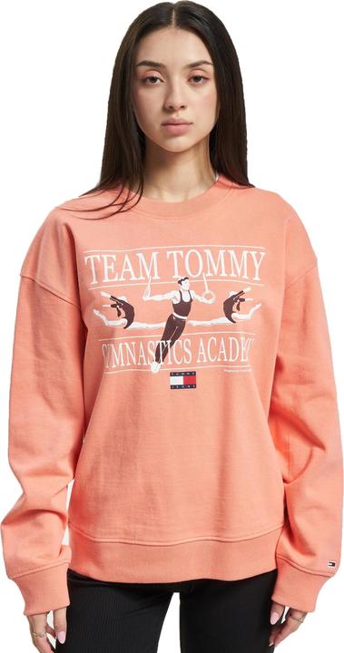 Actual product image Tommy Hilfiger Tommy Jeans Rlxd Gym Sweater - 88837 (L)