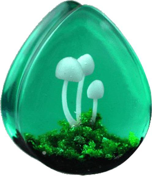 Image du produit Star Piercing Flared Plug Goutte champignon époxy vert (sans laiton, Organique)