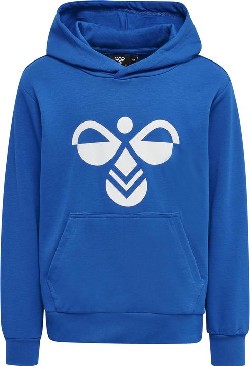 Actual product image hummel Cuatro Hoodie (164)