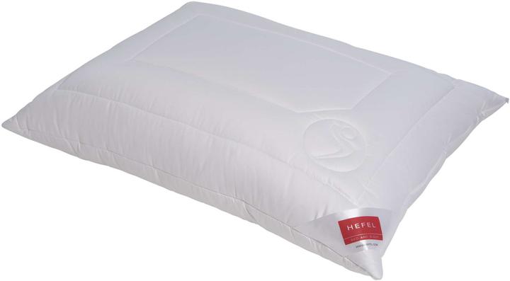 Immagine prodotto Hefel Benessere Vitasan (65 x 100 cm)