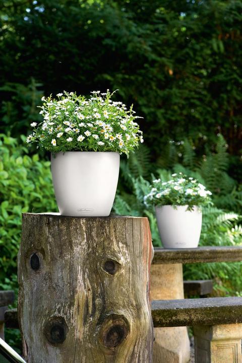 Produktbild Lechuza Classico Color (34.50 cm)