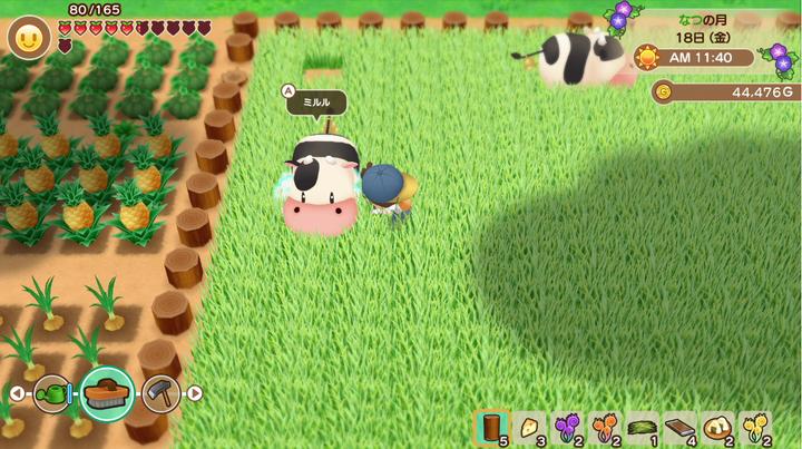 Actual product image Marvelous Story of Seasons : Friends of Mineral Town (Switch, FR)