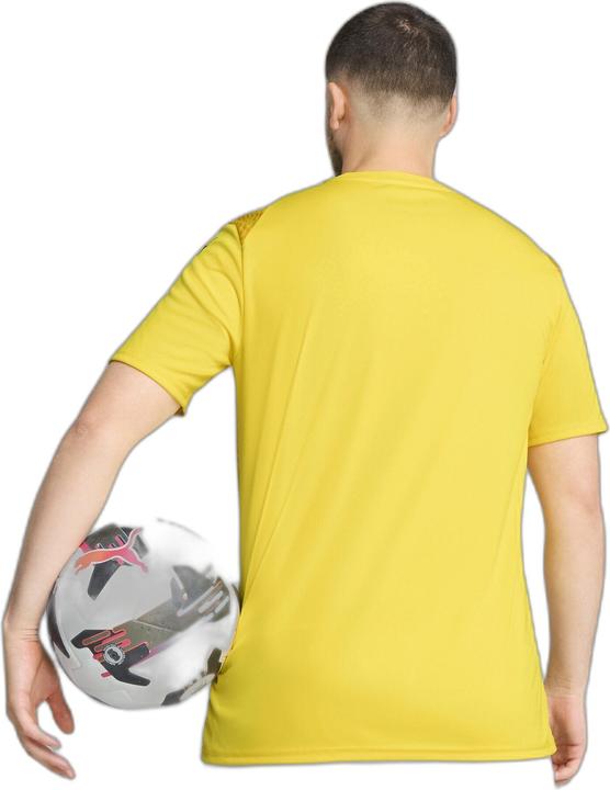 Image du produit Puma teamULTIMATE Jersey (XL)