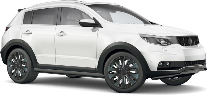 Actual product image Cartrend Wheel cover Storm 14 sw 4x (4 Piece, 14")