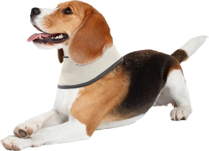 Actual product image Swisspet Cooling scarf (S, Dog bandana)