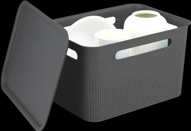 Actual product image Bins and Boxes BRISEN storage box ANTHRAZIT 16L - with lid (16 l)