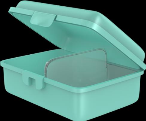 Produktbild Fizzii Hund, Snackbox Mint mit Trennfach