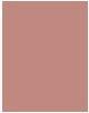Image du produit Sisley Phyto LipTwist No 24 (Baume)